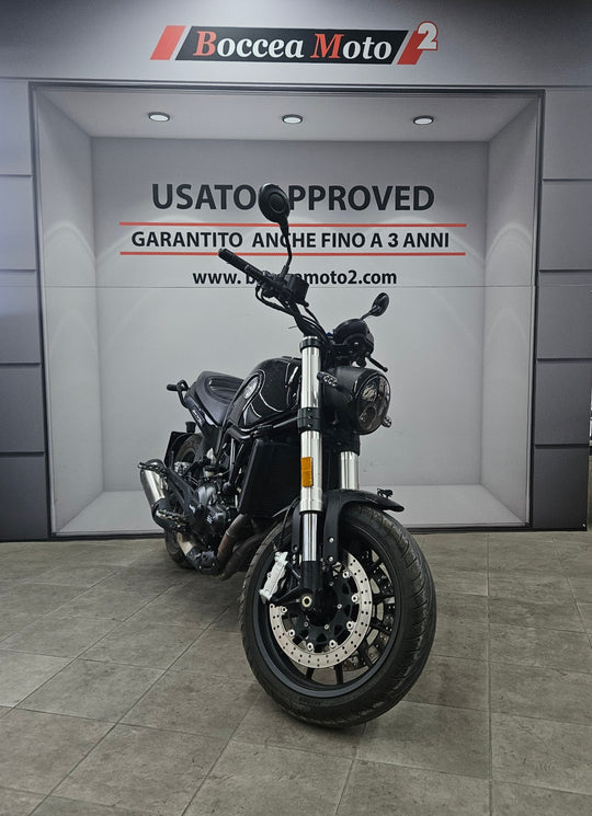 LEONCINO 500 T